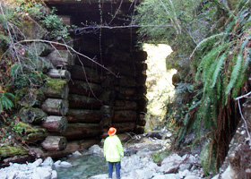 Forestry